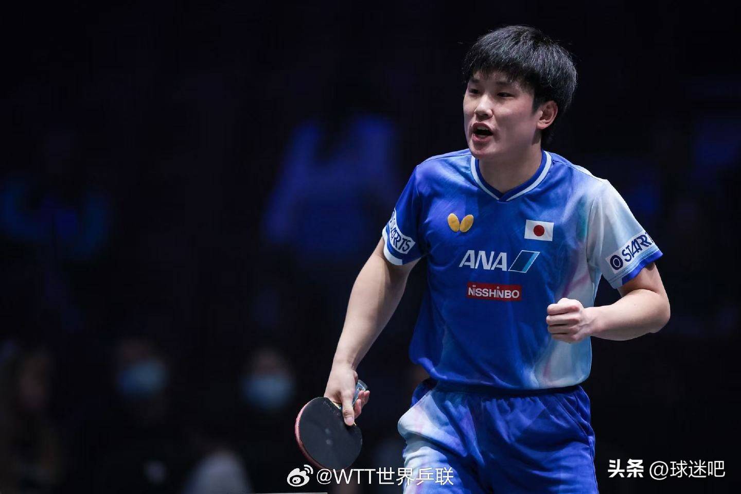 法国队横扫葡萄牙队，张本智和带队取胜的简单介绍