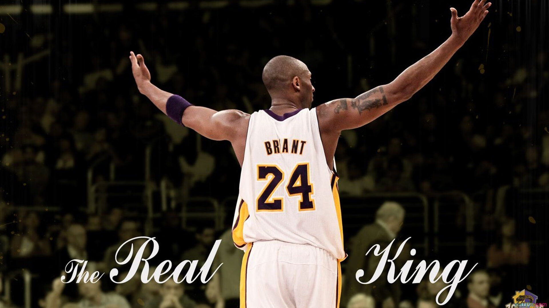 广州队碾压青岛队,布克惊艳四座,一场定义赛季的华丽对决